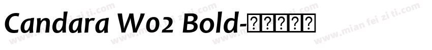 Candara W02 Bold字体转换